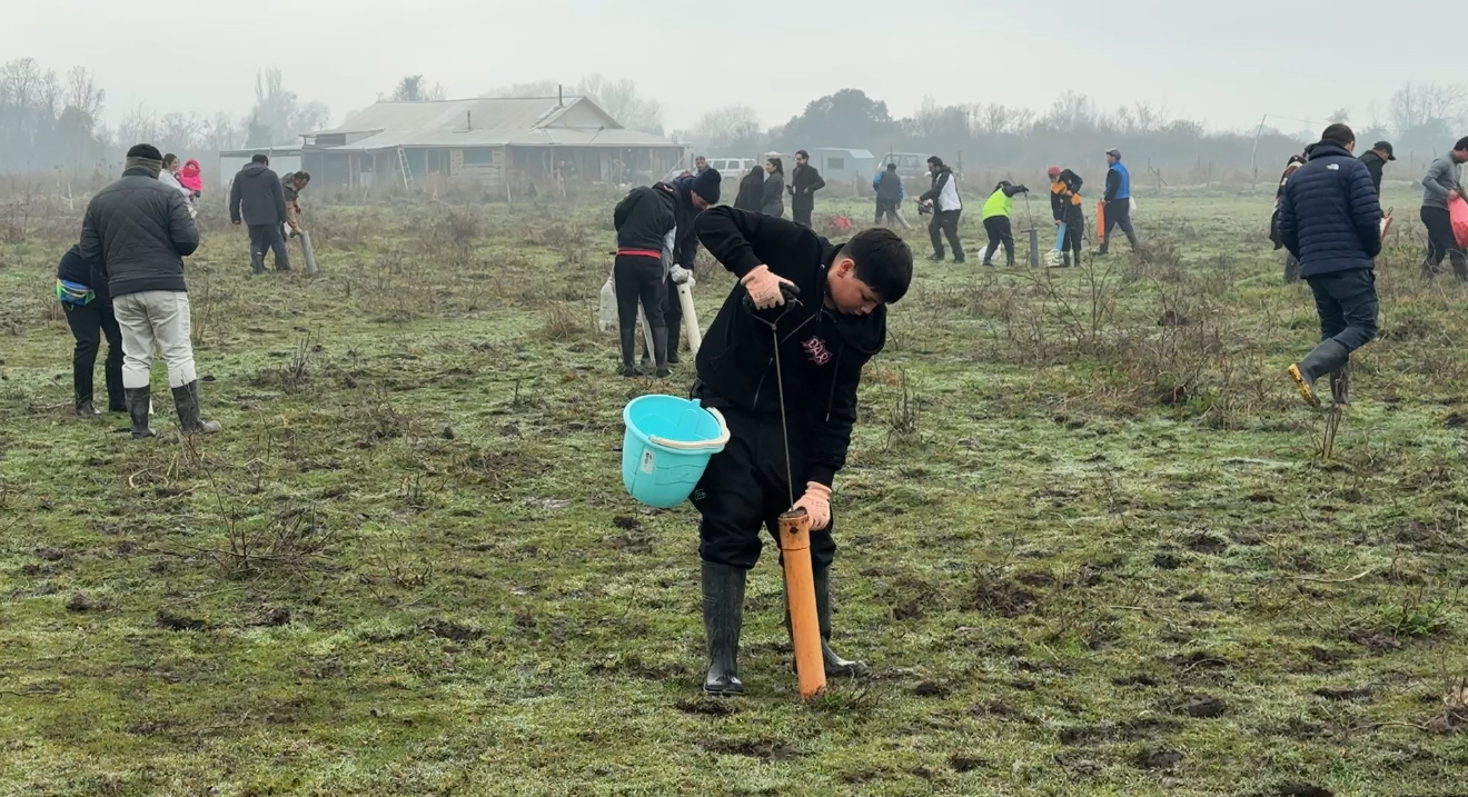 Celebración Fiesta del Camarón en Escuela Chacay